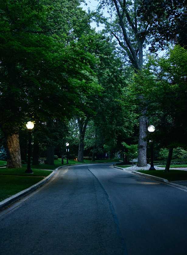 A tree-lined path in Summerhill, Toronto’s best central neighbourhood